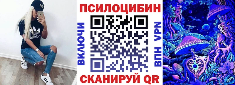 Купить  Петропавловск-Камчатский  Псилоцибиновые грибы мицелий 